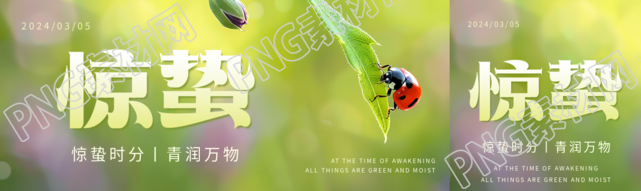 惊蛰时节瓢虫实景公众号封面图