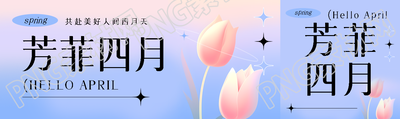 芳菲四月唯美郁金香公众号封面图