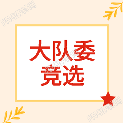 少先队大队委员会成员竞选微信公众号次图