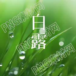 小清新二十四节气白露实景微信公众号次图