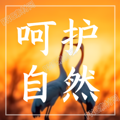黄昏下的美景动物日呵护自然微信公众号次图