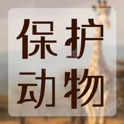 保护动物长颈鹿实景简约微信公众号次图