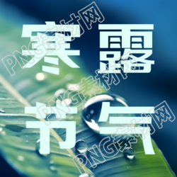 树叶露珠实景24节气寒露微信公众号次图