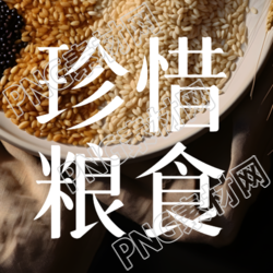 五谷杂粮实景珍惜粮食简约微信公众号次图
