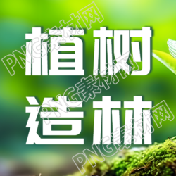 实景创意植树造林公益活动微信公众号次图