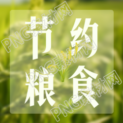 节约每一粒粮食实景简约微信公众号次图