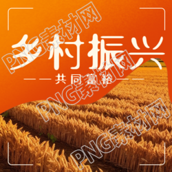 丰收的麦田实景乡村振兴创意微信公众号次图