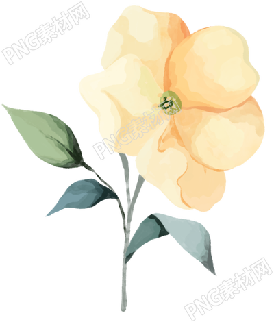 水彩风格小黄花素材