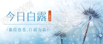 秋日清晨带露珠的蒲公英白露节气微信公众号首图