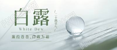 小水珠实景二十四节气白露微信公众号首图