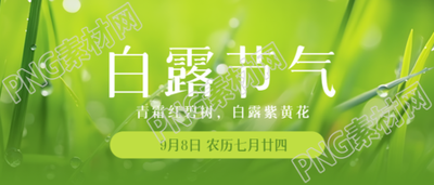 清晨带露珠的小草白露时节微信公众号首图