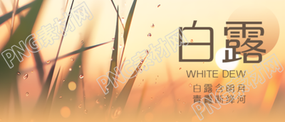 二十四节气白露夕阳小草剪影微信公众号首图