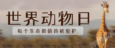 非洲大草原上的长颈鹿世界动物日微信公众号首图