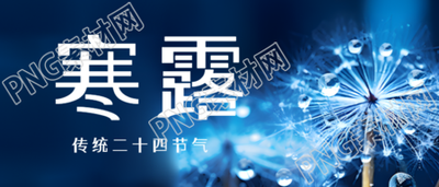 清晨蒲公英上的露珠寒露时节微信公众号首图