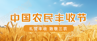 中国农民丰收节蓝天白云小麦实景微信公众号首图