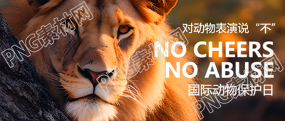 世界动物日对动物表演说不微信公众号首图