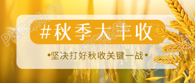 农民秋季大丰收田间美景微信公众号首图