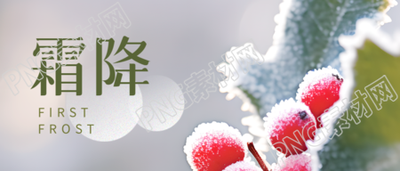 绿叶红果实景霜降节气弥散风微信公众号首图