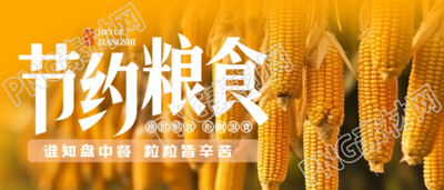秋季丰收的玉米实景世界粮食日微信公众号首图