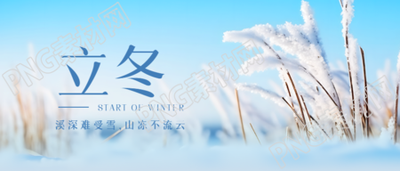 干枯的芦苇景色传统节气立冬微信公众号首图