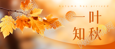 秋天來了樹葉飄落一葉知秋微信公眾號首圖