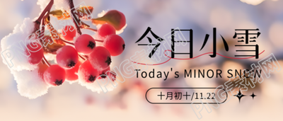 二十四节气小雪红色果实景色微信公众号首图