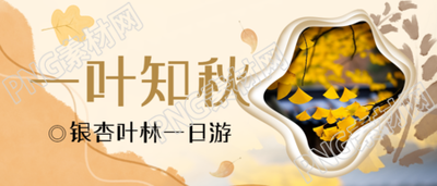 金黄色银杏叶实景一叶知秋唯美微信公众号首图