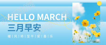三月早安格桑花实景微信公众号首图