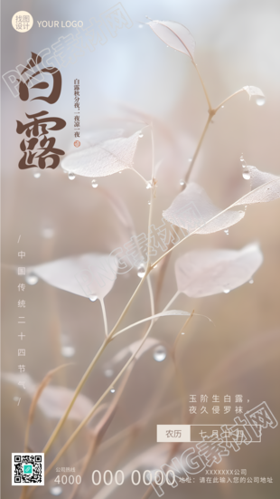 24节气白露雾蒙蒙清晨叶片美景手机海报