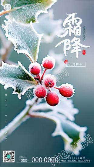 24节气霜降枝头的红色果实手机海报