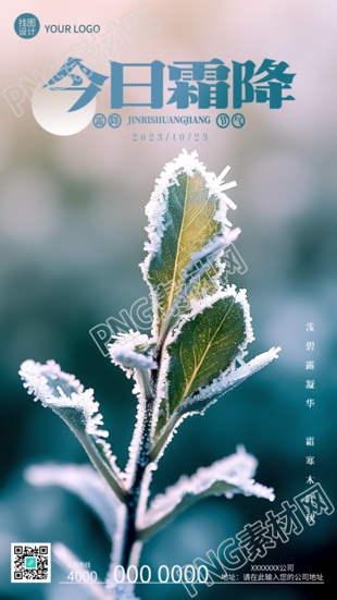 今日霜降深秋清晨的绿植手机海报
