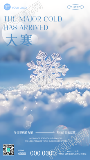 今日大寒唯美雪花实景手机海报