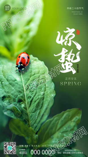 惊蛰节气万物萌发实景手机海报