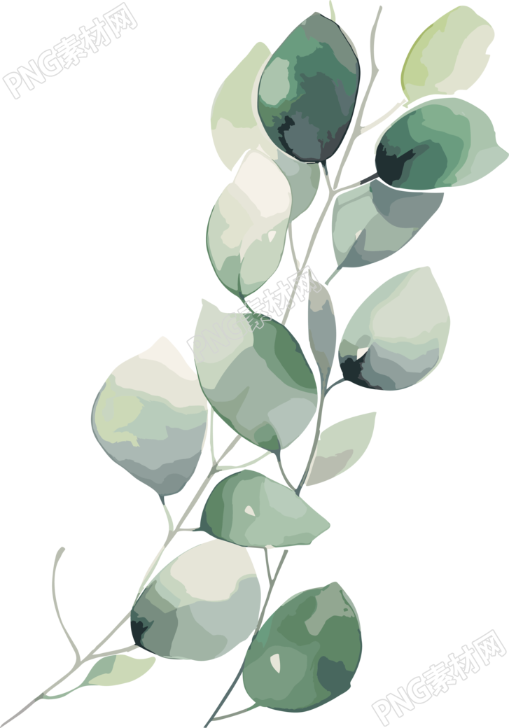 尤加利叶水彩风格插画设计