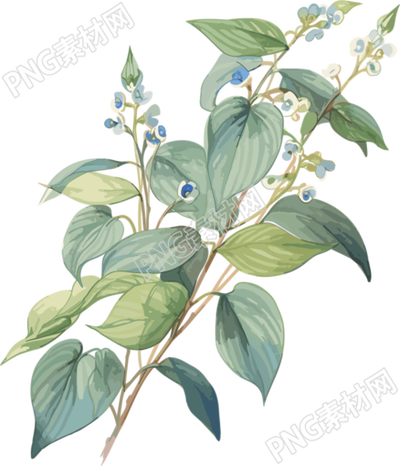 蓝色小花透明背景高清PNG插画