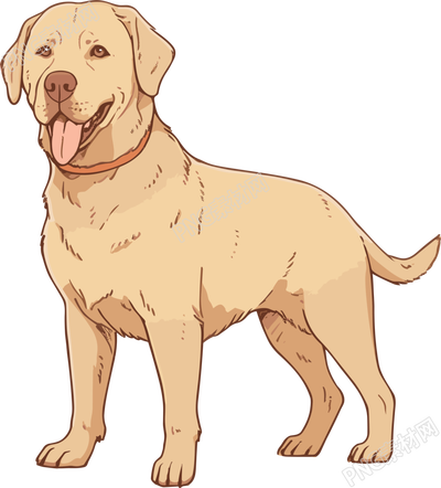 浅棕色和金色拉布拉多犬插画素材