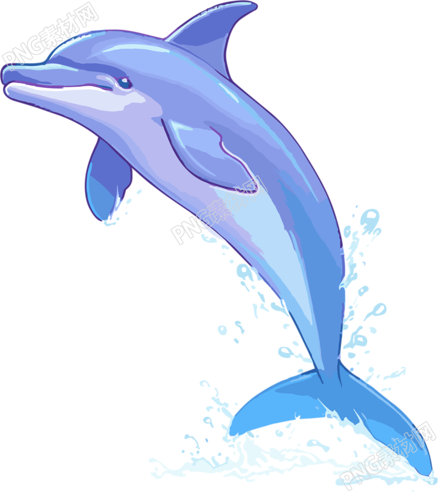 跳跃的海豚透明背景插画素材