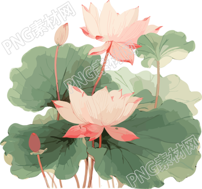 音天莲花画插图