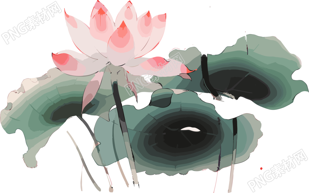 莲花与叶子的精美插画