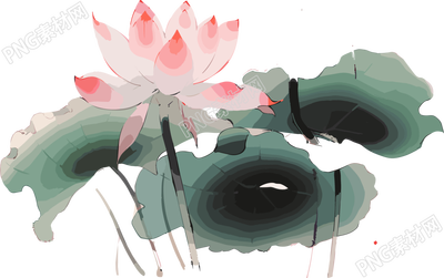 莲花与叶子的精美插画