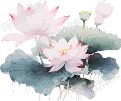 莲花与叶子画作插画