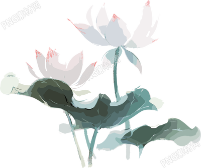 粉蓝莲花水墨画插画