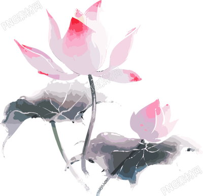 粉蓝芙蓉水墨画元素