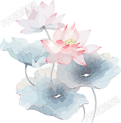 粉蓝色莲花素材