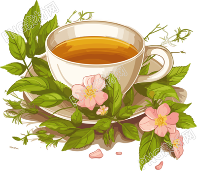 花叶纹理草本茶插画设计高清透明背景素材