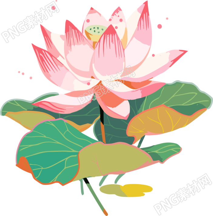 莲花插画创意设计元素