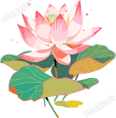 莲花插画创意设计元素