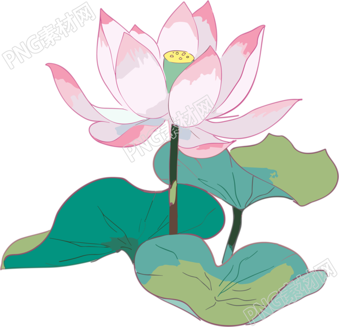唯美粉色绽放的莲花插画
