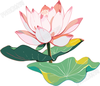 手绘扁平风格莲花插画