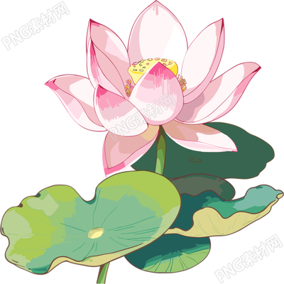 自然界唯美荷花插画素材